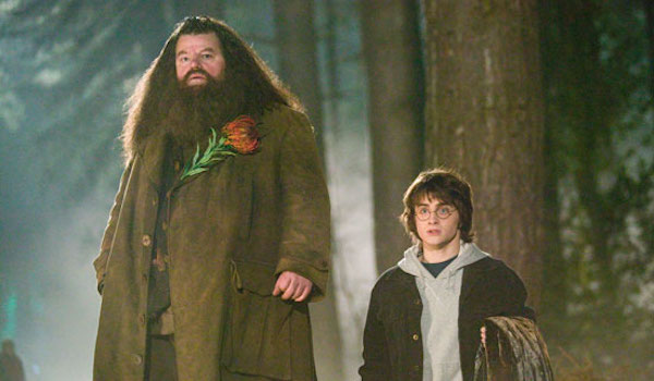 Hari Poter i Hagrid